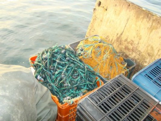 Plase de pescuit ilegale, depistate de Garda de Coastă